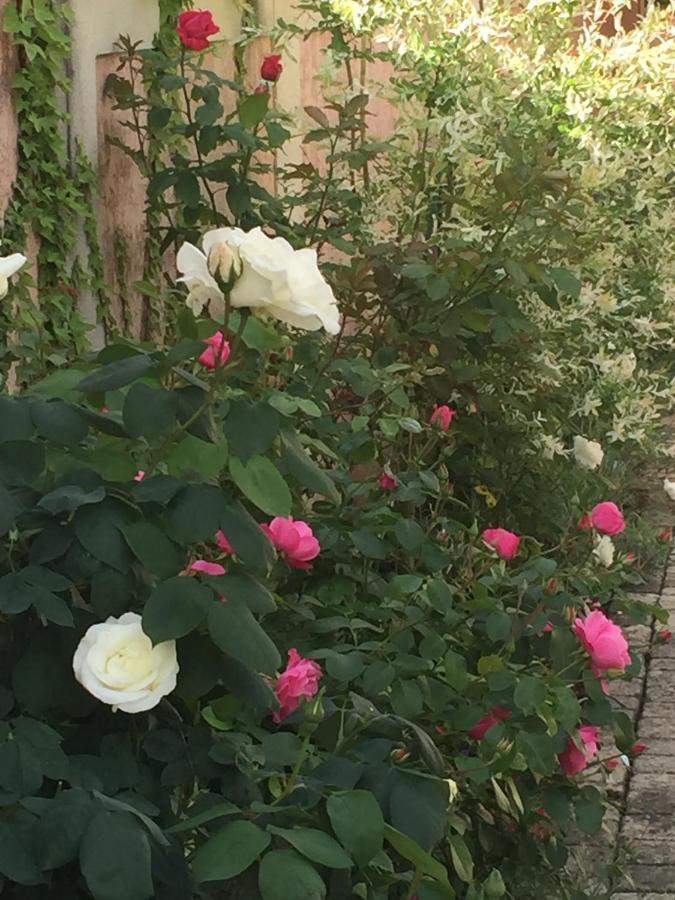 Rose Garden Mezzanine Bed & Breakfast Giverny Exterior photo